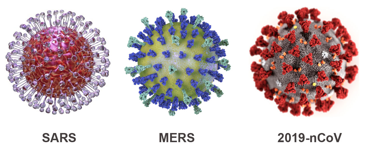Омикрон коронавирус россия. Вирус коронавирус ковид-19. Коронавирус строение вируса. Коронавирус строение Covid 19. SARS-cov-2 Дельта штамм.