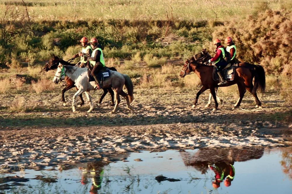Лошадь переправа. Казахская игра байга. Шабандоз. Загадка на тему байга казахская игра. Байга картинки для детей.