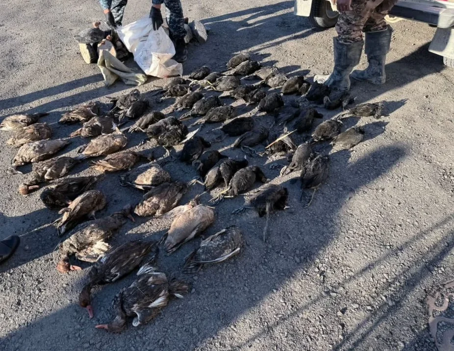 В Аральском районе полицейские задержали браконьеров 2 571248037 804912158943763 4105471719728600003 n e1761650587885