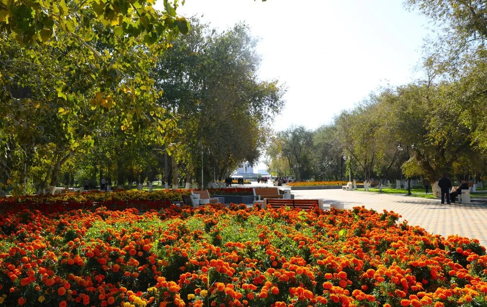 560420935 1109468134707763 80851