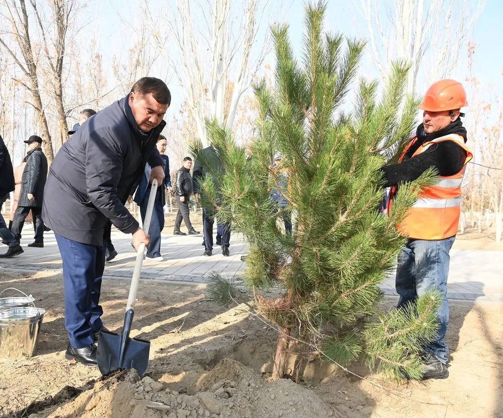 В Кызылорде прошла экологическая акция по посадке деревьев 3 586559282 1143990827922160 80522 1