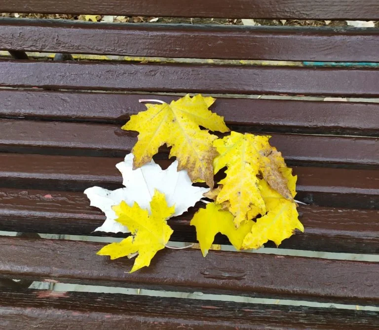 86aaded7 5f43 4f7a 8066 98550e2cf959 768x1024 1 e1758255025869 2