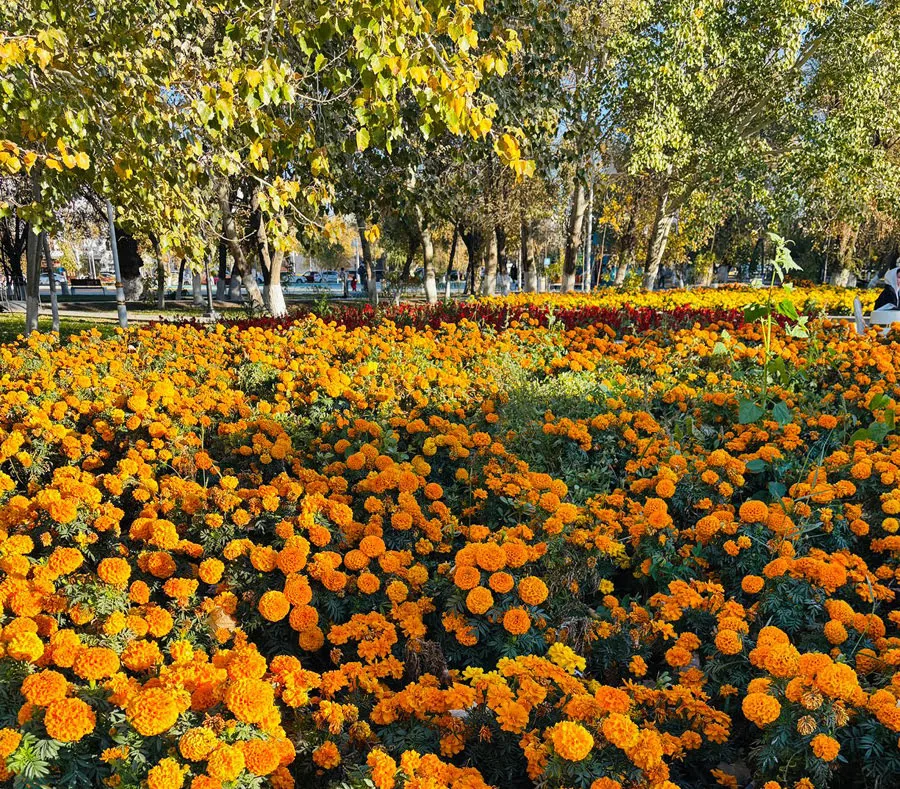 b555a849 64fa 4bb0 a8b9 a5c49ffb 1