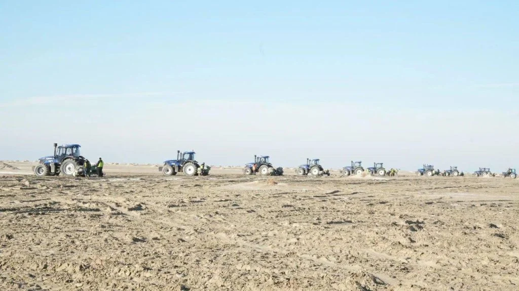 Началась осенняя посадка саксаула на осушенном дне Аральского моря 2