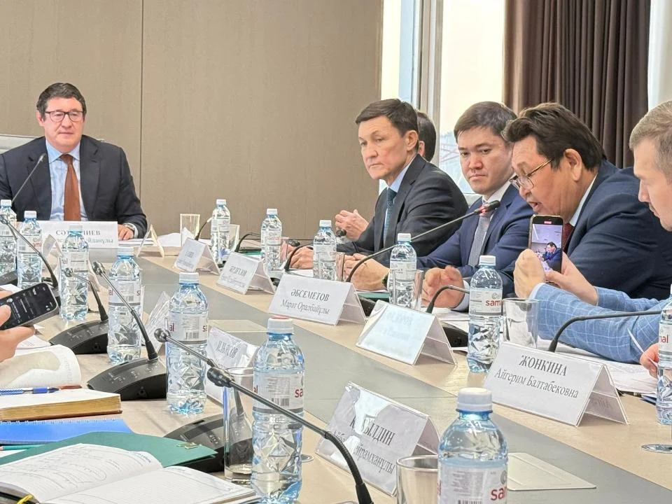 Определено название первой АЭС Казахстана 2