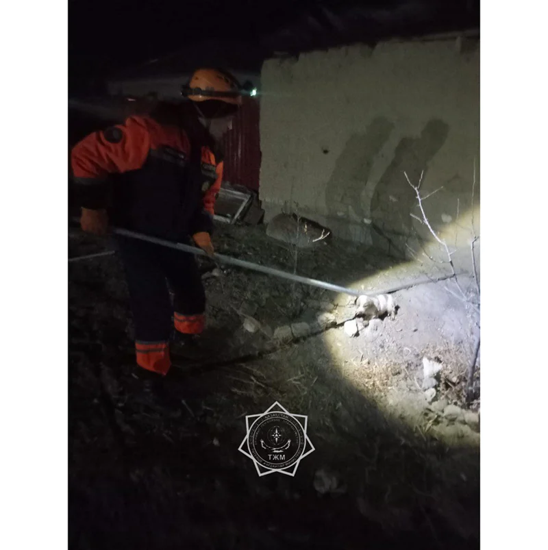 В Кызылорде спасатели вытащили щенка из септика 2 189fbde9 539a 4668 995c f93462ae6f14