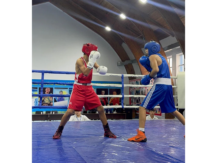 597879775 3136913246479560 4716085626646976386 n