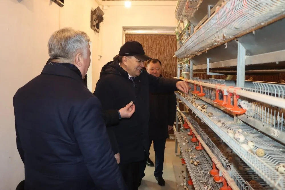 598544736 1162608362727073 22538