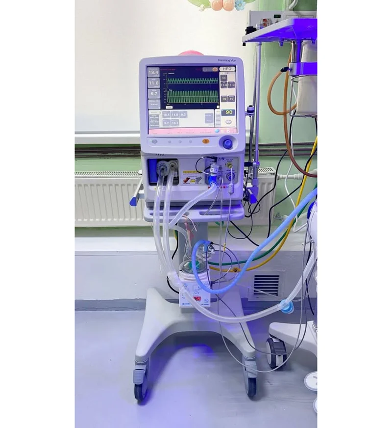 599937423 4597612037132048 5699742850537662940 n