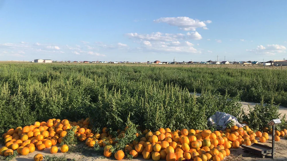 Саксаульск: от паровозного депо до современного поселка 4 photo 2025 12 12 11 23 58 1