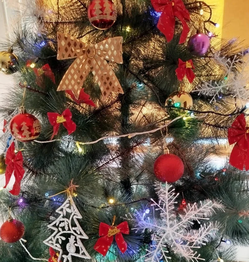 whatsapp image 2025 12 19 at 10.