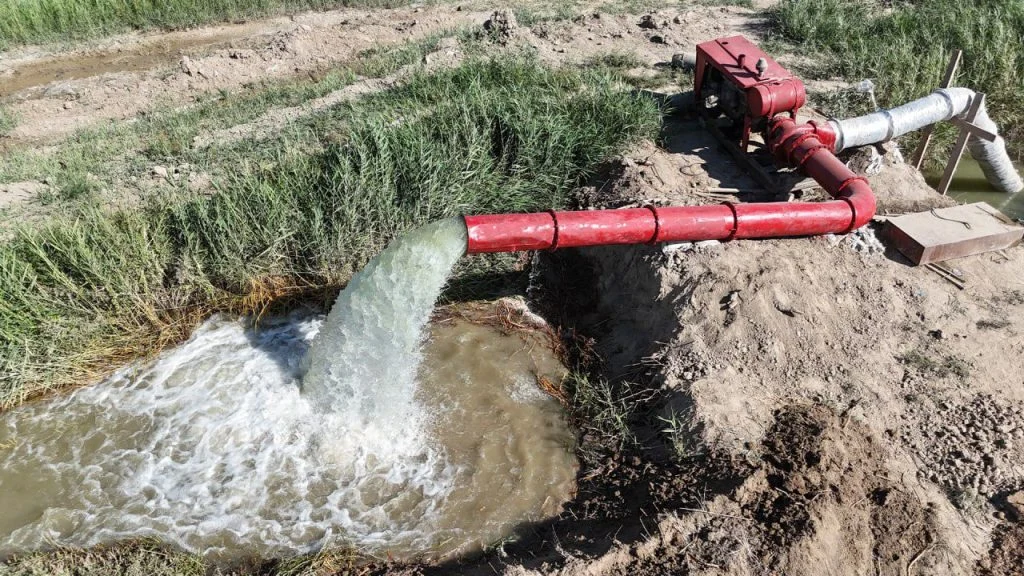 whatsapp image 2025 12 19 at 13.18.00