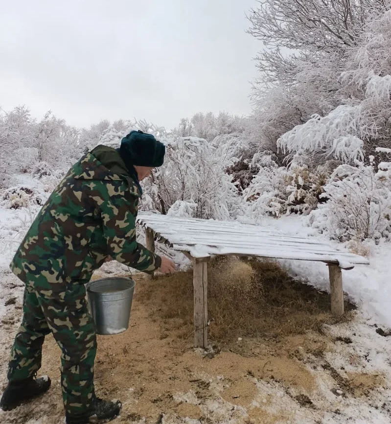 608129112 2106023396819798 83071 1 e1767684308784