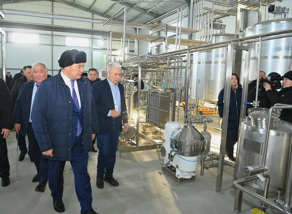 В Аральском районе строится завод по производству сухого порошка из верблюжьего молока 3 618362013 1188127903508452 31296