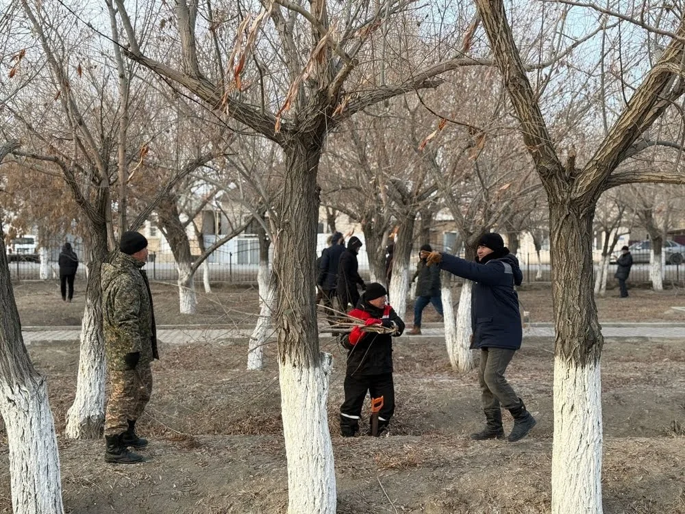 621203672 18344275348224664 7227