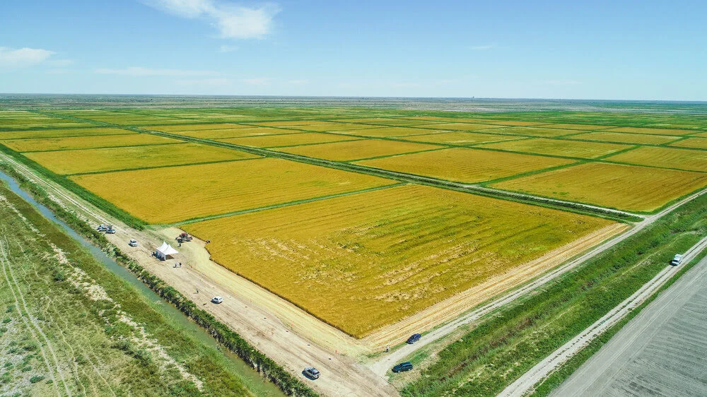 Фейк о продаже казахстанской земли иностранцам опровергнут 2 k rish al aby