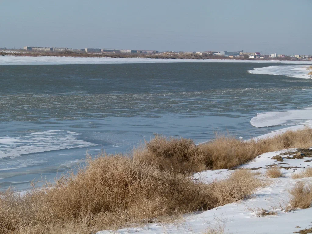 В Кызылординской области проходит акция «Лед» 2 p1010337