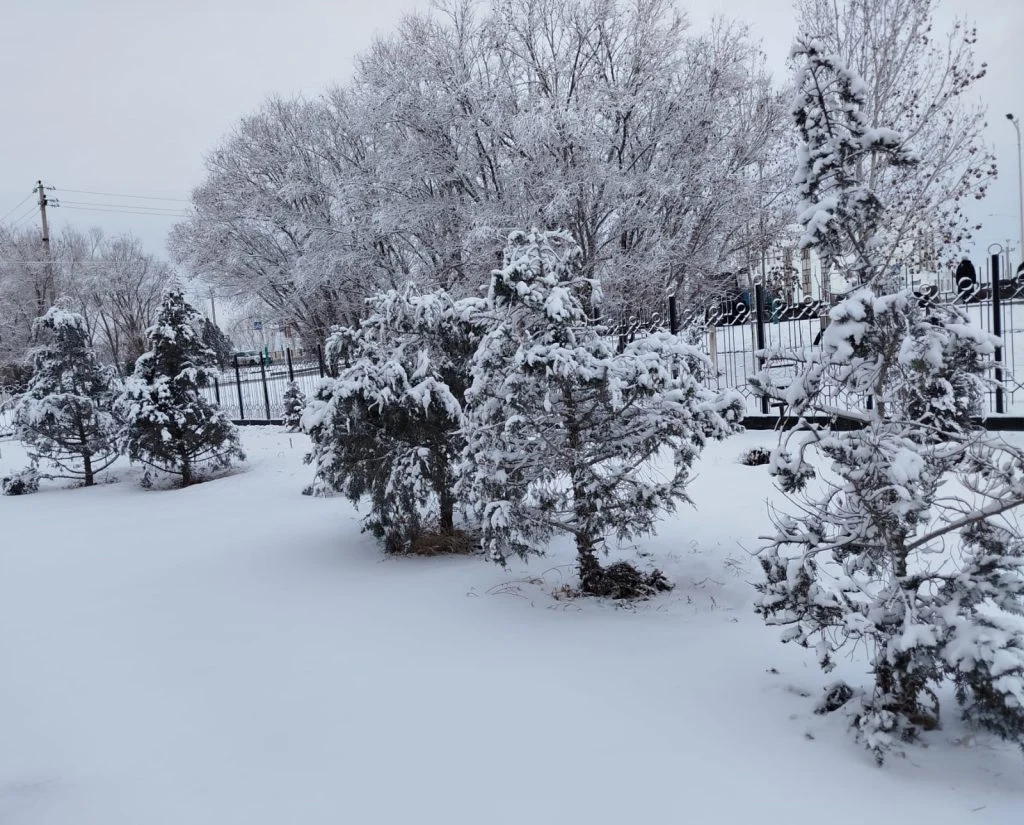 whatsapp image 2025 12 26 at 09.01.13 2