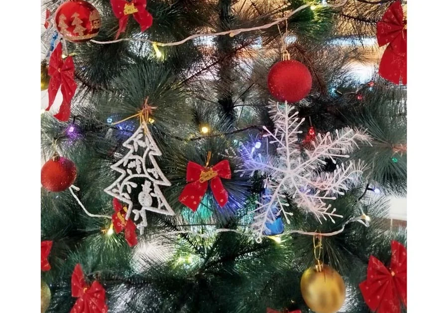 whatsapp image 2025 12 31 at 18.10.35.jpeg