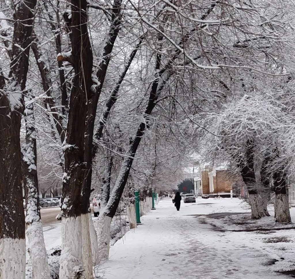 whatsapp image 2026 01 14 at 17.12.31