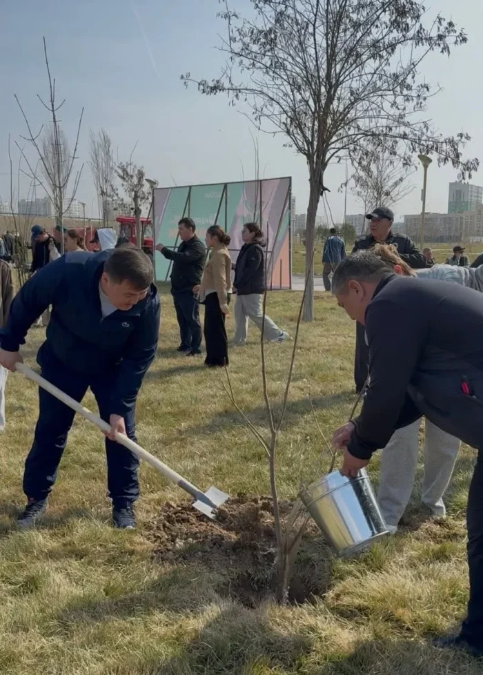 1000153946 e1774291282245