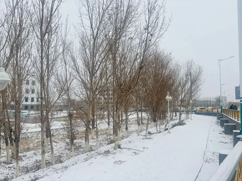 Прогноз погоды на 3 марта 2 2c8b1f43 5eec 4232 8db5 9a254ad6 1 3 1 2 1 1 1