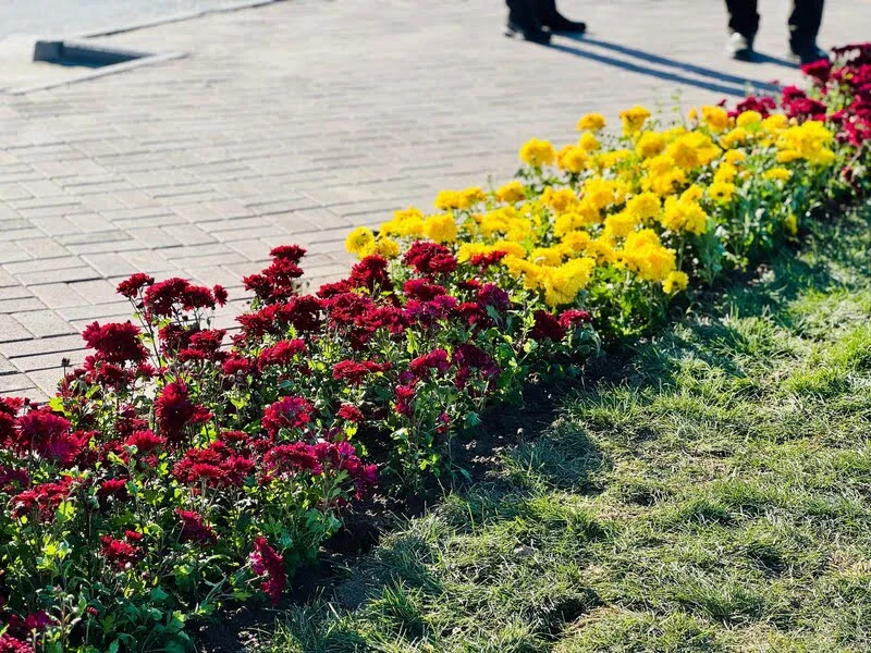 653919996 4221994218067304 48958