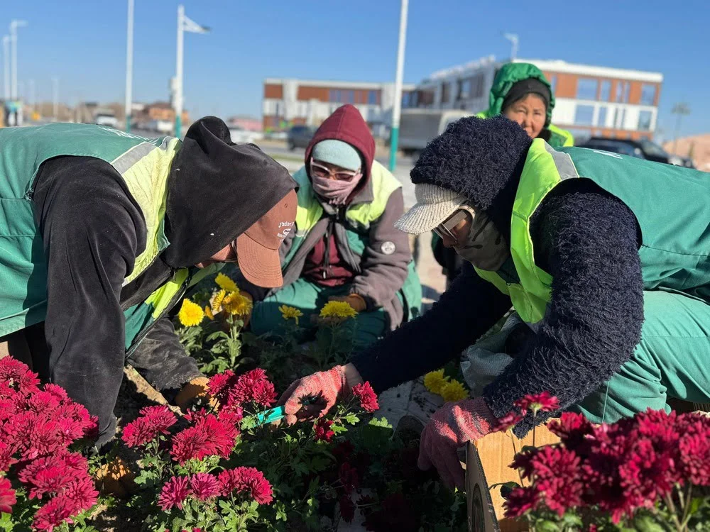 654817200 4221994651400594 53867