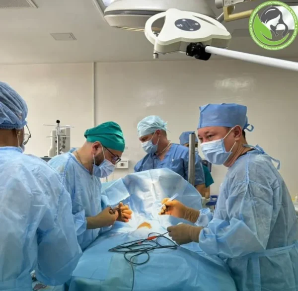 657378202 4702403456652905 375904851417265590 n e1774612391796