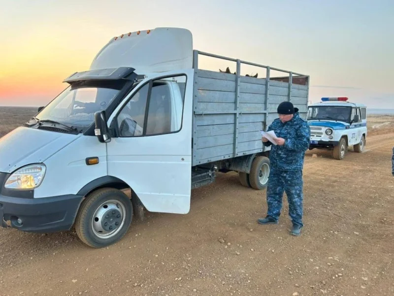 a9ad5dd7 5e01 4bd7 87fd 78e4edb2934d e1773300107346