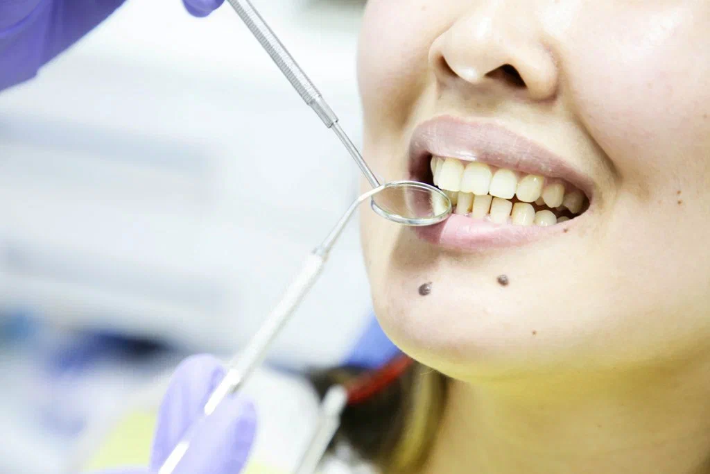 stamatalogija tis 356