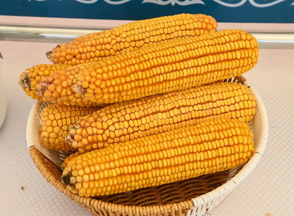 659087802 1244078331246742 77410