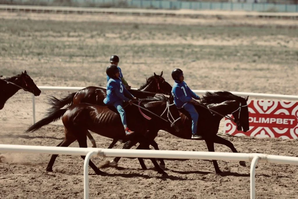 В Кызылорде прошел чемпионат Казахстана по байге 1 670527371 977240461409839 6139247662573482396 n