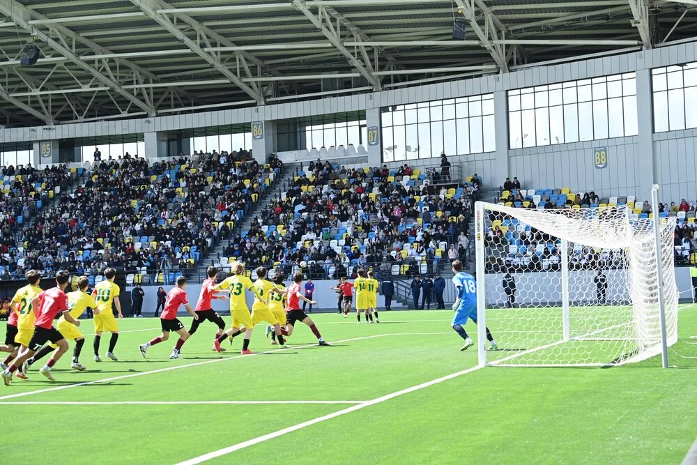 672090592 1257312766589965 33685