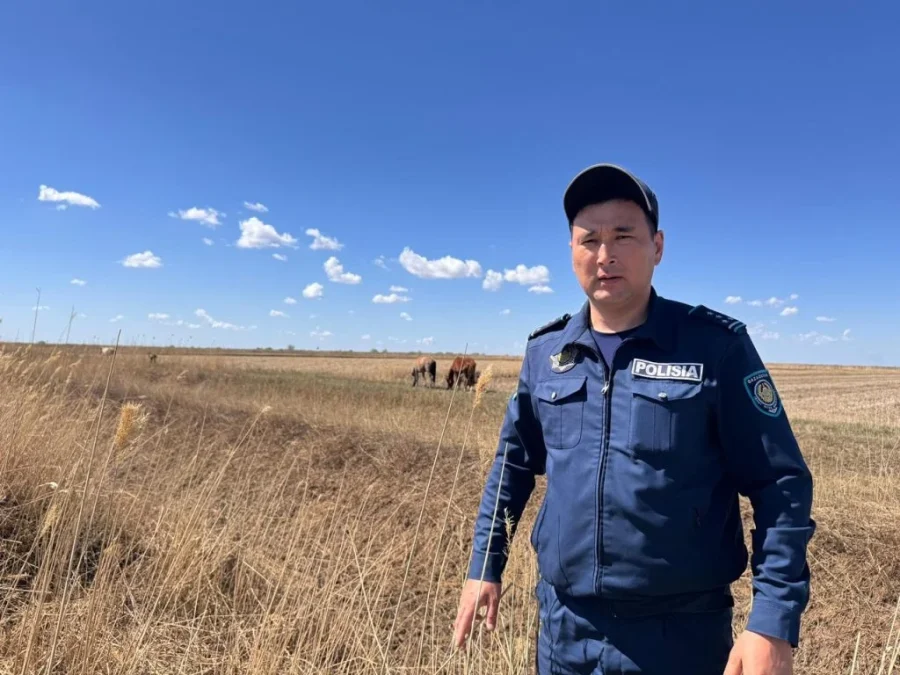 759a5cc9 2842 4d7f bbcd 1f0e1720b6a7 e1776153331388