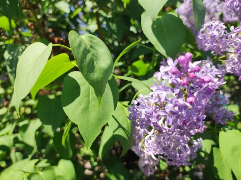 Прогноз погоды на 14 апреля 1 8111660e 61e8 4b95 a0d9 3b41782f8dd7 e1776140149787