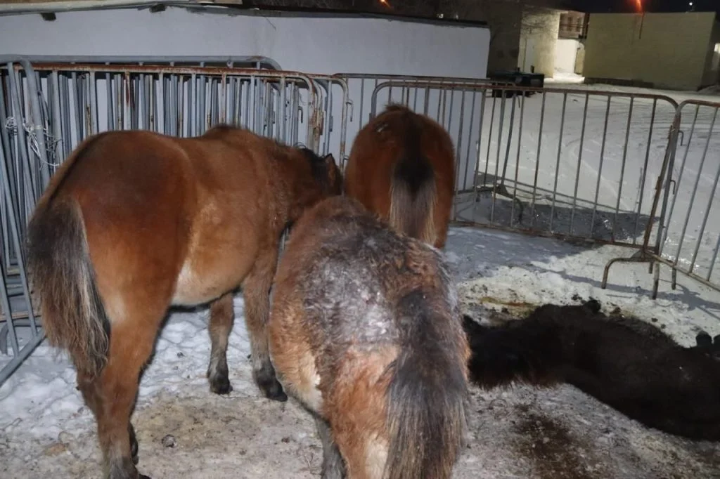 98bbb533 7614 4fa4 b2a4 31b206423c24