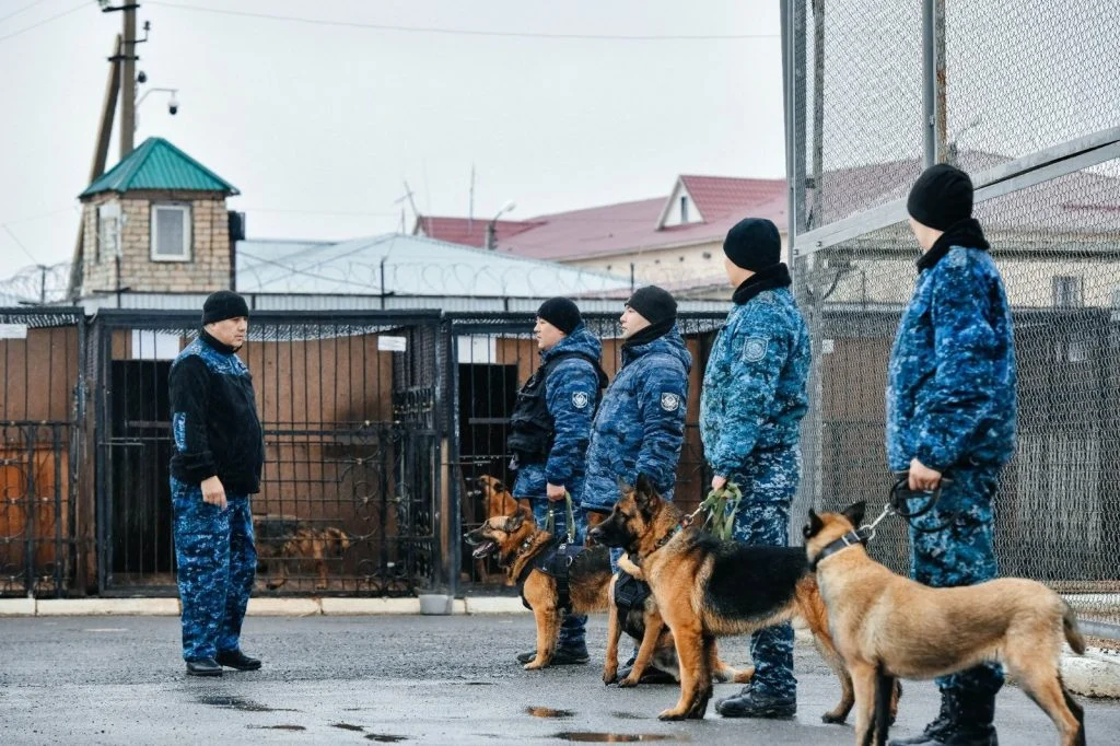 Служебные собаки помогли раскрыть 83 преступления 1 img 20260410 wa0009