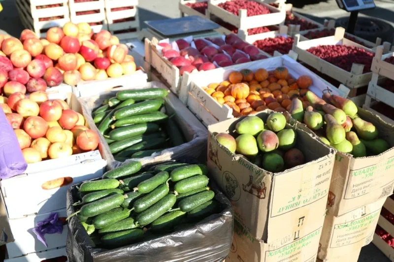 ovoshi e1776228589954