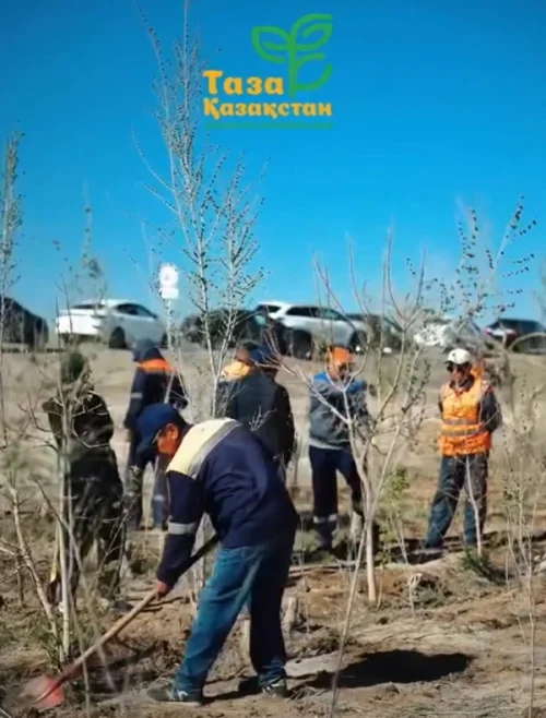 В Кызылординской области прошла акция «Таза қала» 1 untitled 1 copy 3 e1776065492447