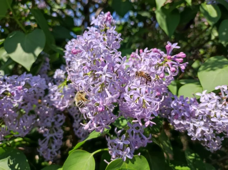 whatsapp image 2026 04 12 at 00.04.20 1 e1775935969145