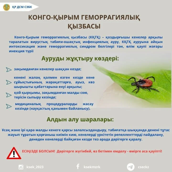 whatsapp image 2026 04 13 at 15.21.59