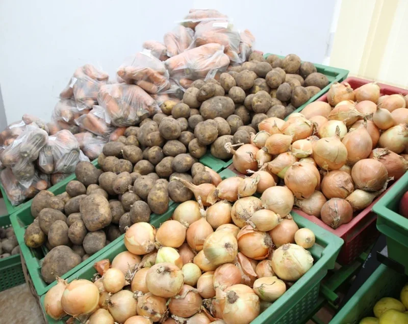 zhua kartor s biz 2 1 e1773400898319