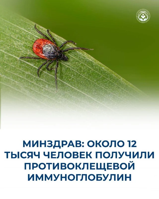 klshhi