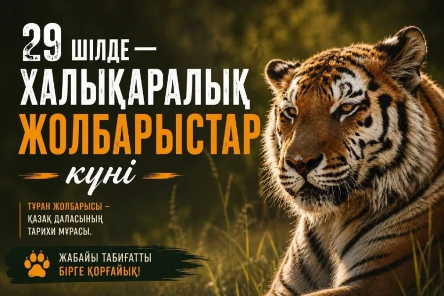 whatsapp image 2026 07 29 at 10.26.30 e1785307965555